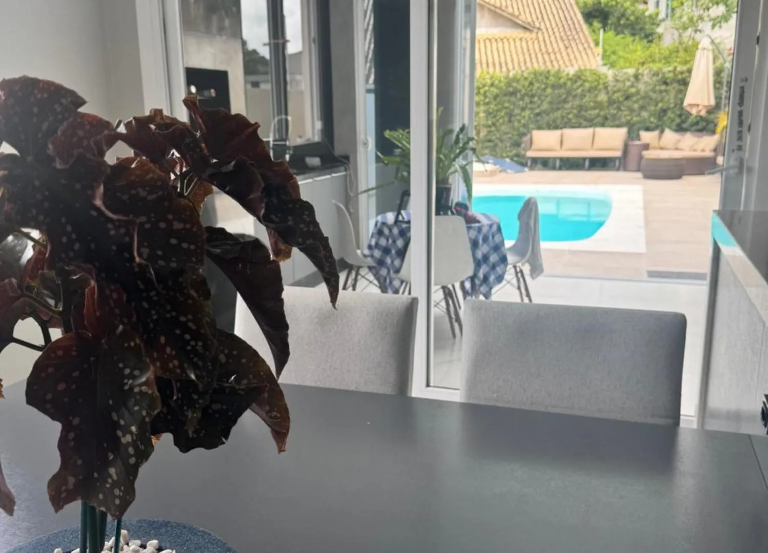 Homestay Suites De Padua - Quartos Com Banheiro Privativo Em Casa Ampla E Moderna Em Santo Antonio De Lisboa - Florianopolis - Sc - Br